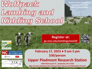Cover photo for Wolfpack Lambing and Kidding School